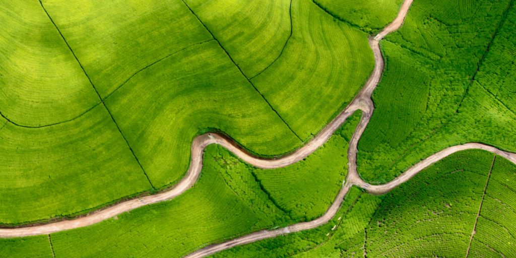 Services Header 1024x512 1